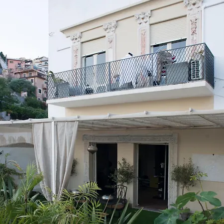 Allegra Experience *