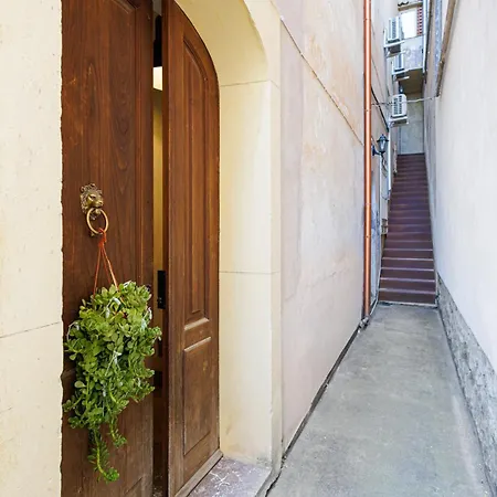 Allegra Experience *